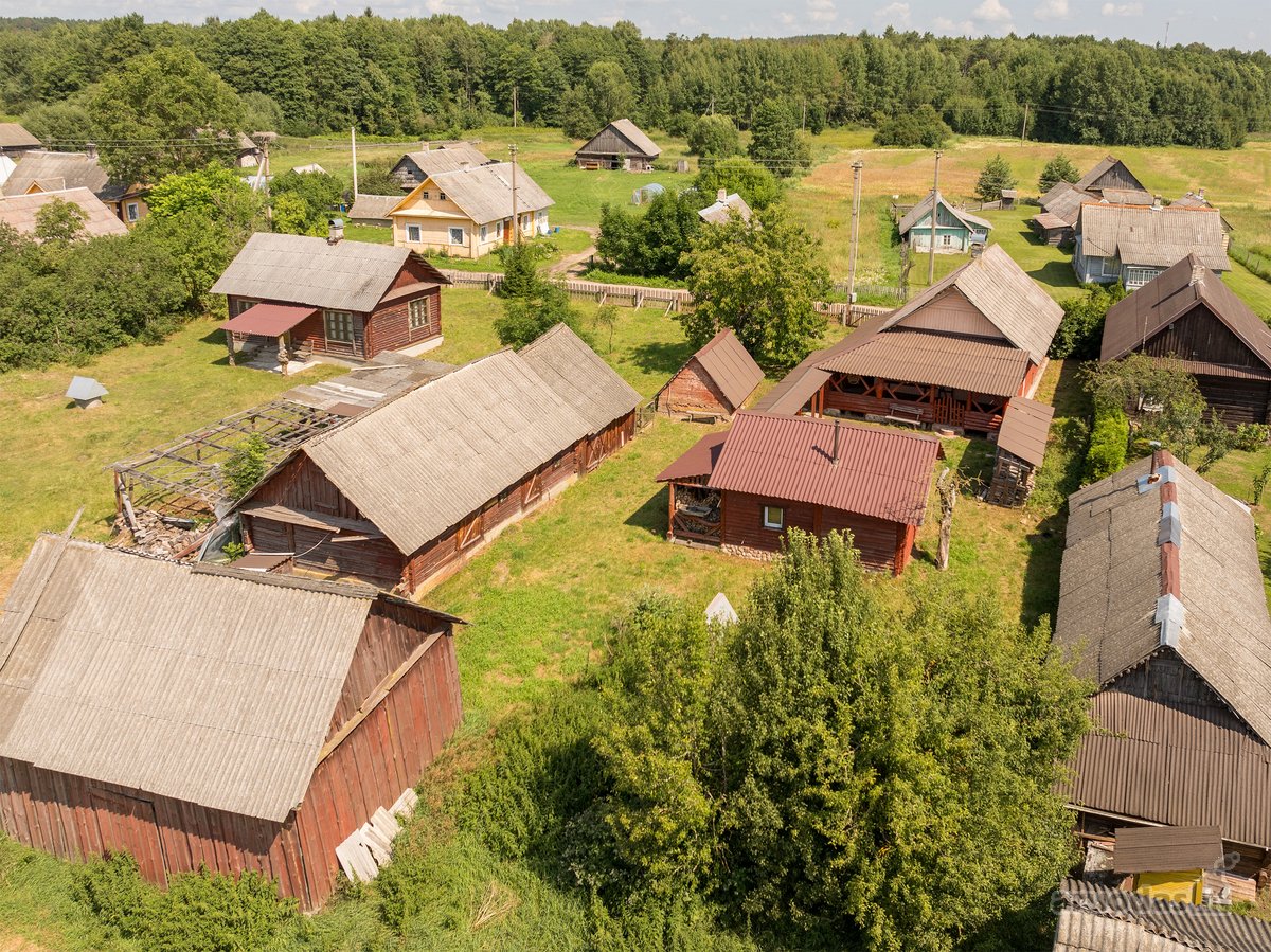 Dubičiai – nedidėlis turtinga istorija ir - nuotraukos Nr. 3