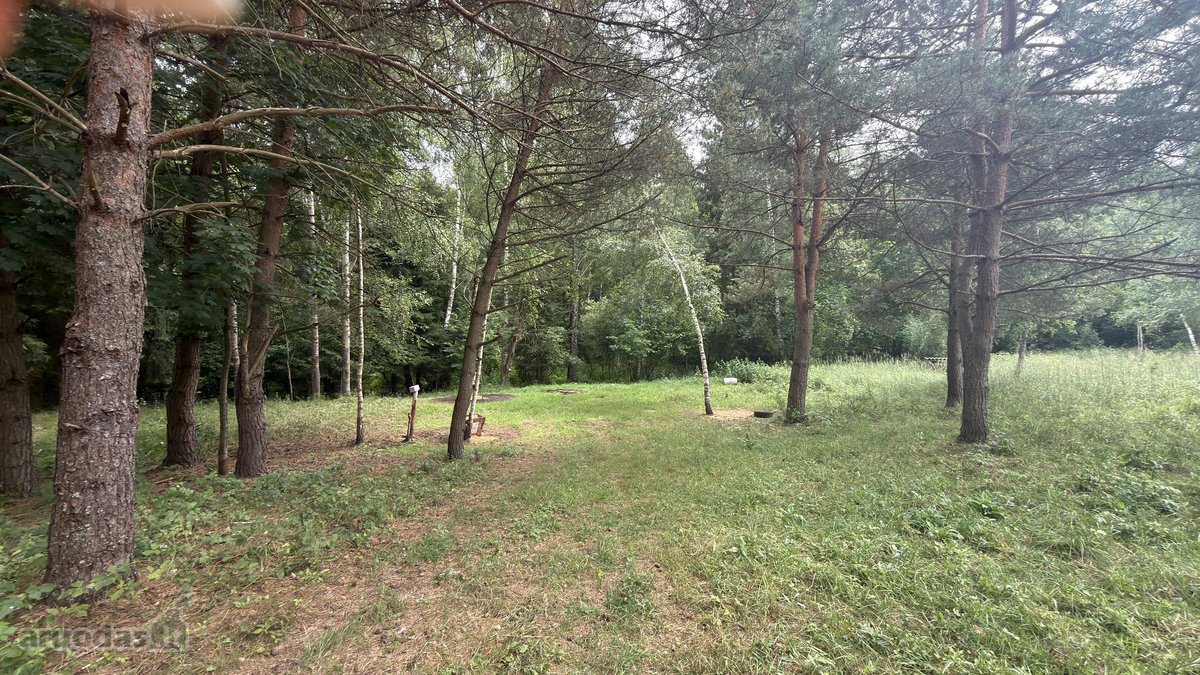 Parduodamas 3 ha žemės ūkio paskirties - nuotraukos Nr. 9