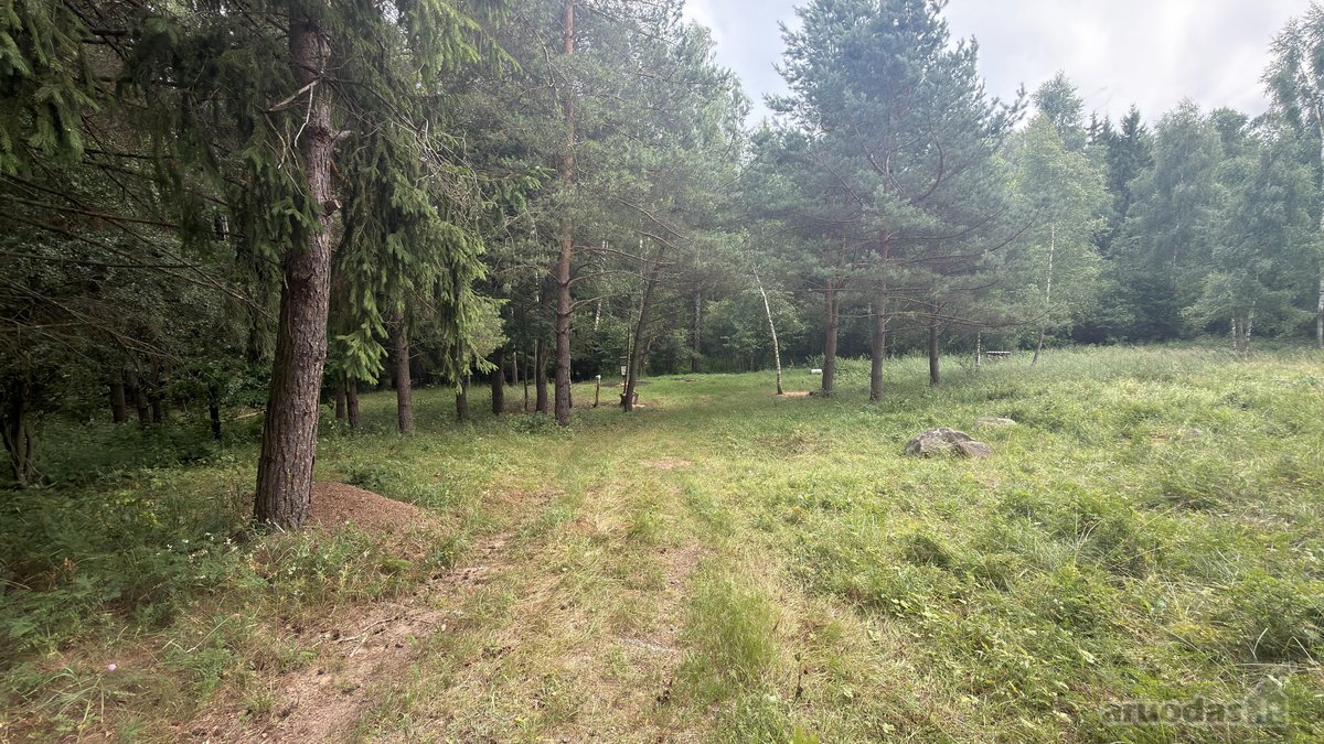 Parduodamas 3 ha žemės ūkio paskirties