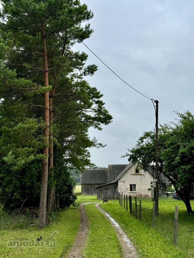 Neįkainojama ramybė, kurios mieste neįsigysi, - nuotraukos Nr. 2
