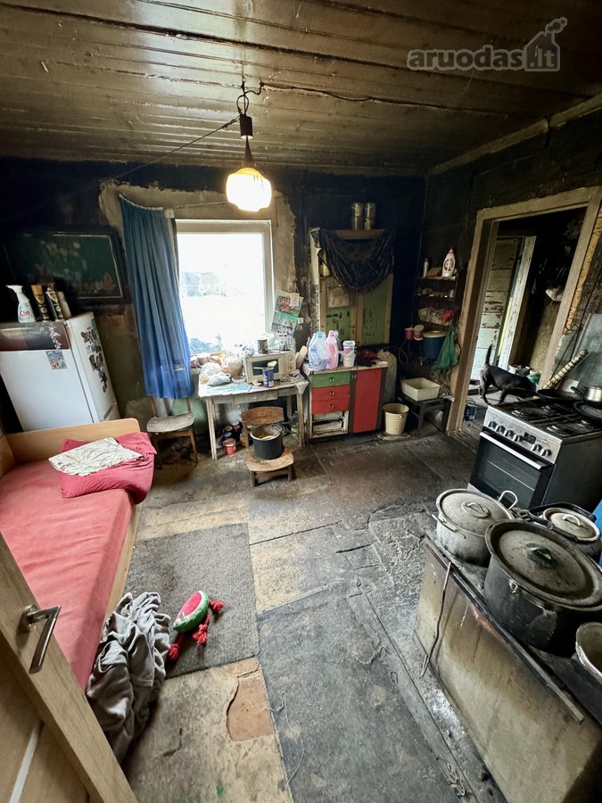 Neįkainojama ramybė, kurios mieste neįsigysi, - nuotraukos Nr. 12