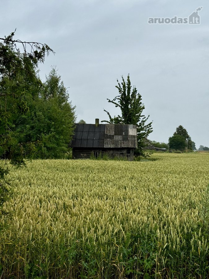 Neįkainojama ramybė, kurios mieste neįsigysi, - nuotraukos Nr. 13