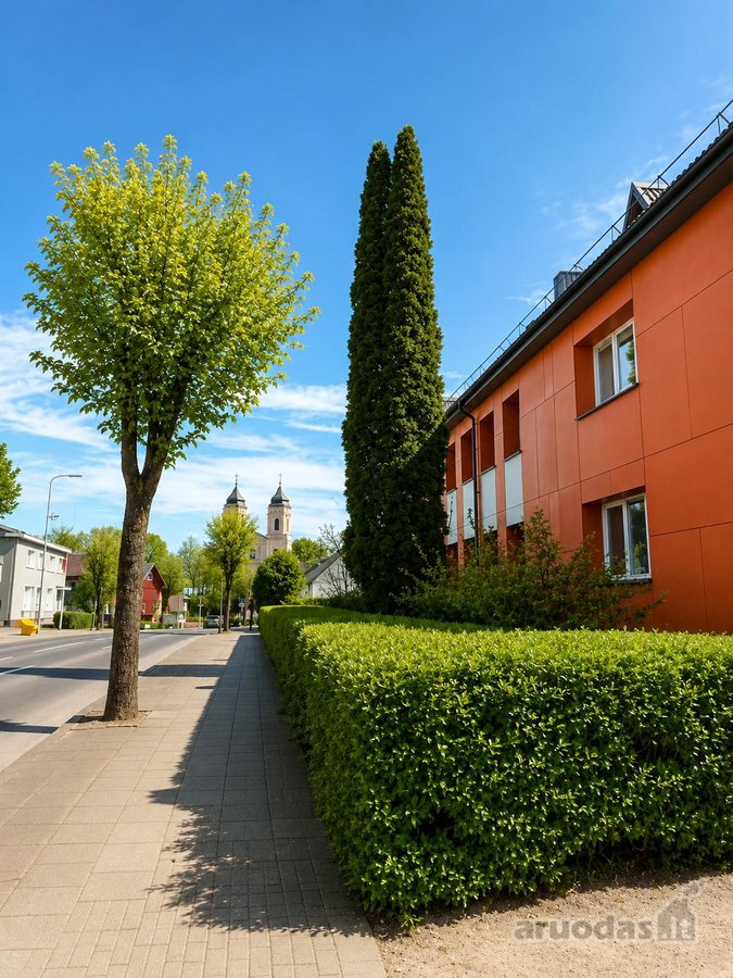 Parduodamas istorinio Molėtų centro butas su - nuotraukos Nr. 12