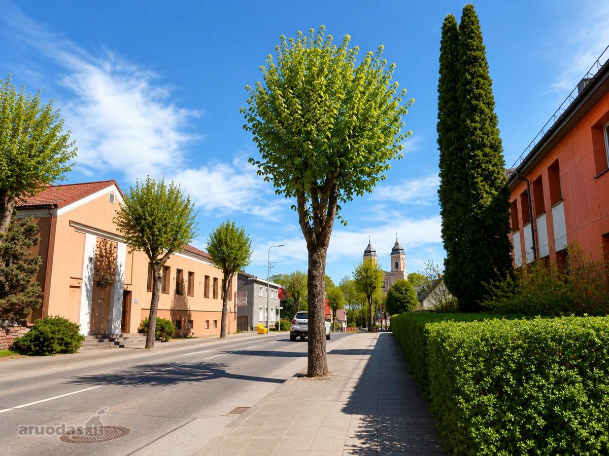Parduodamas istorinio Molėtų centro butas su - nuotraukos Nr. 3