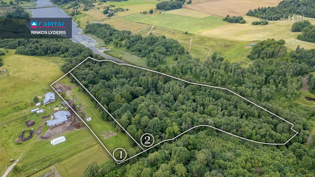 Prie Juodės II Tvenkinio – Beveik 5 Hektarai
