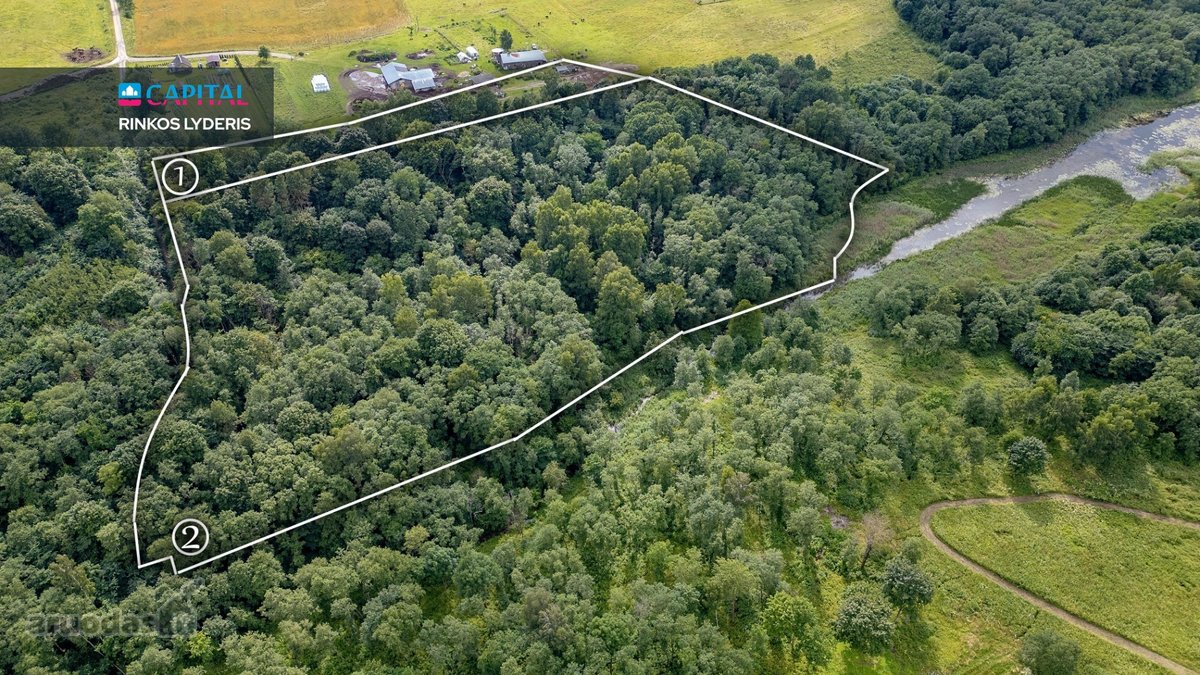 Prie Juodės II Tvenkinio – Beveik 5 Hektarai - nuotraukos Nr. 3