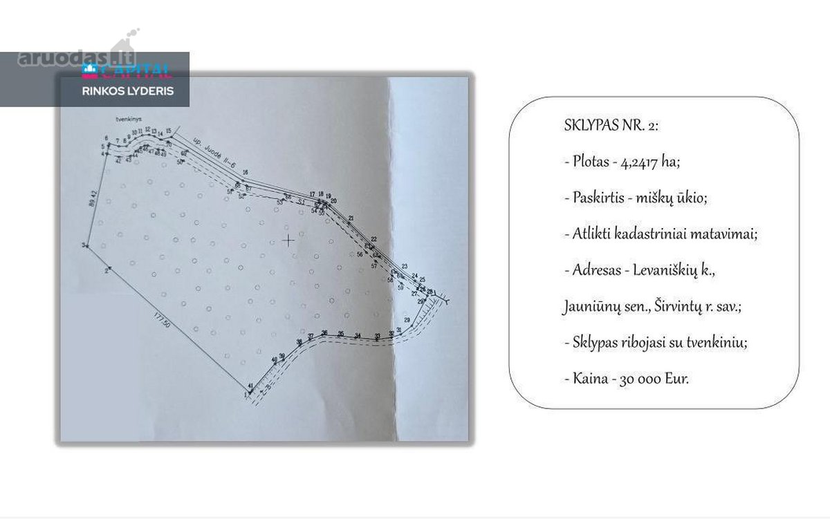 Prie Juodės II Tvenkinio – Beveik 5 Hektarai - nuotraukos Nr. 6