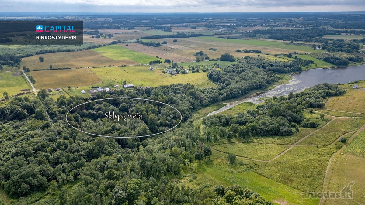 Prie Juodės II Tvenkinio – Beveik 5 Hektarai - nuotraukos Nr. 7