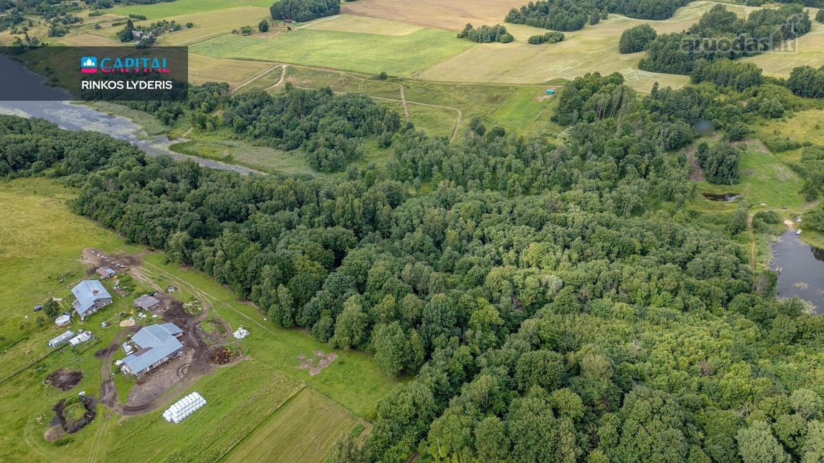 Prie Juodės II Tvenkinio – Beveik 5 Hektarai - nuotraukos Nr. 9