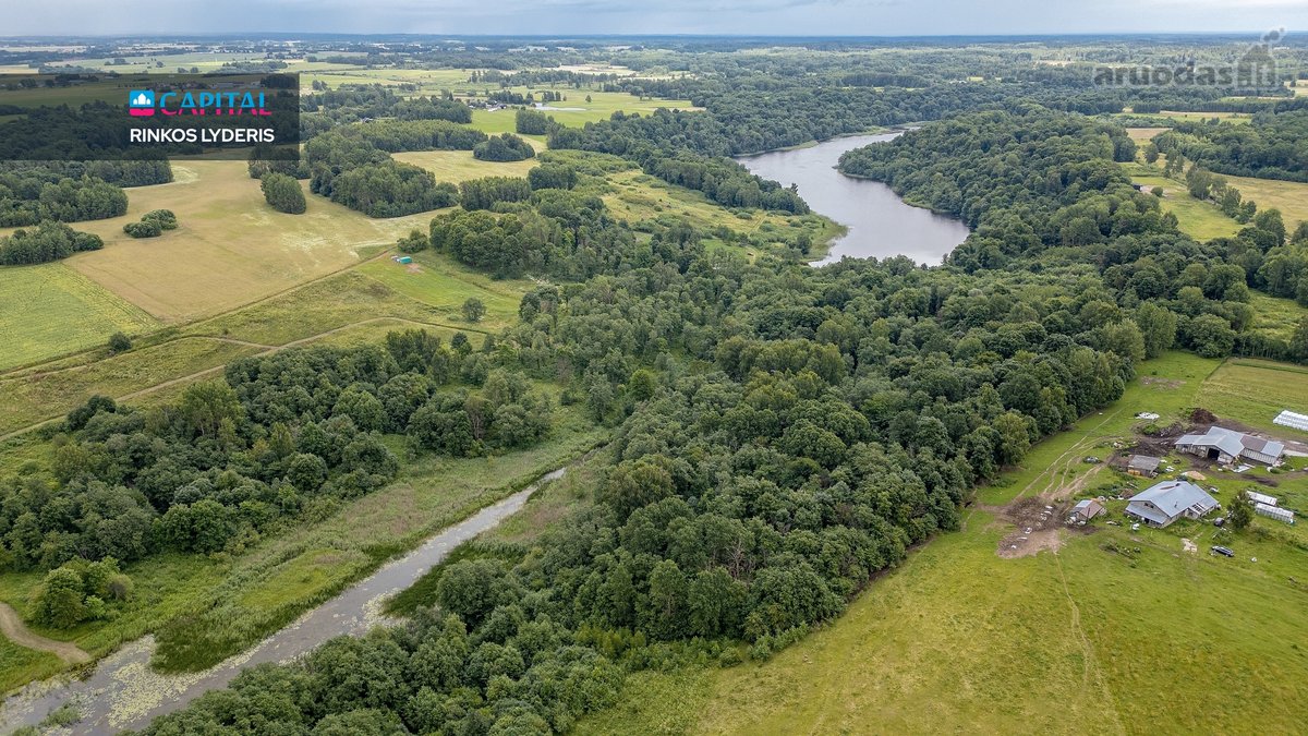 Prie Juodės II Tvenkinio – Beveik 5 Hektarai - nuotraukos Nr. 10