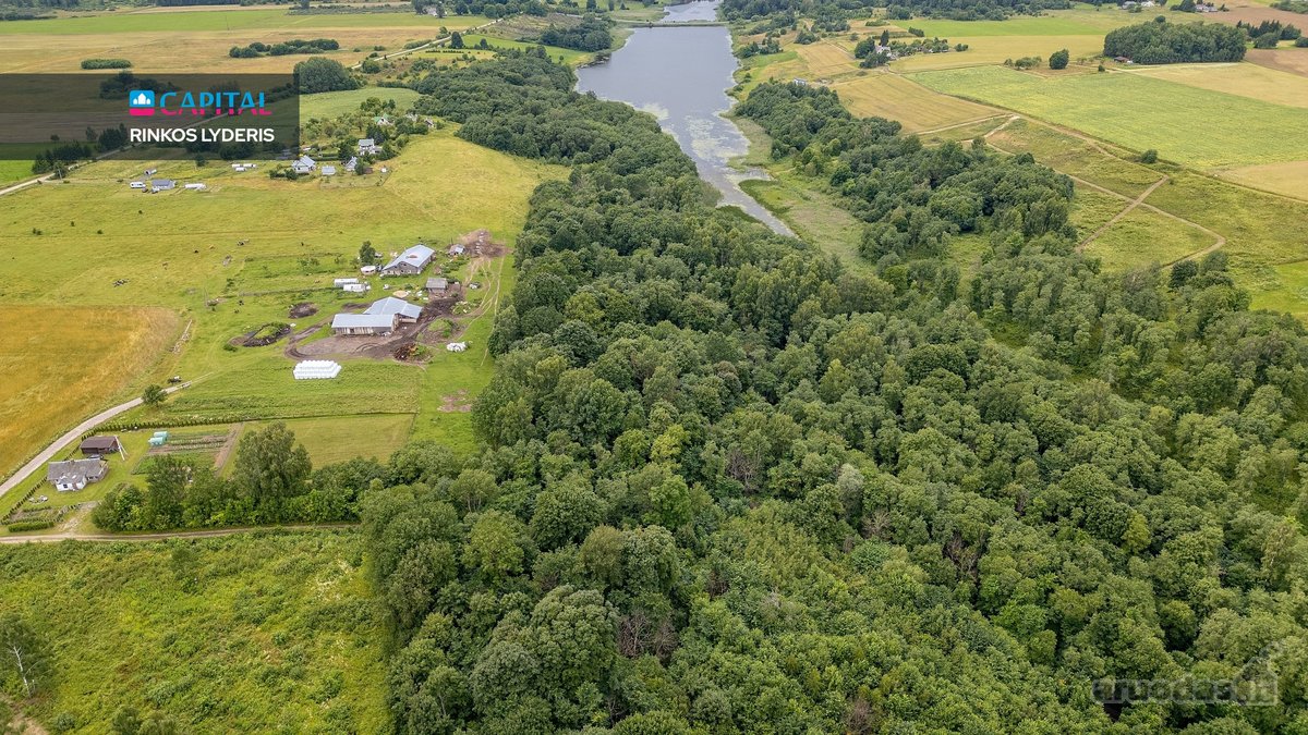 Prie Juodės II Tvenkinio – Beveik 5 Hektarai - nuotraukos Nr. 11