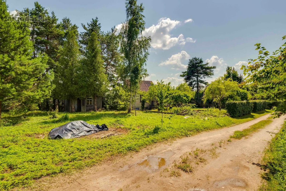 Parduodamas 6,66 A Sodų Žemės Sklypas - nuotraukos Nr. 5