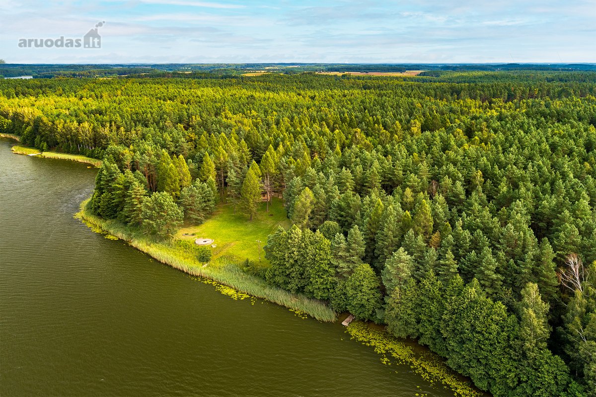 5,84 Ha Teritorija Su Net 260 M Veisiejo - nuotraukos Nr. 5