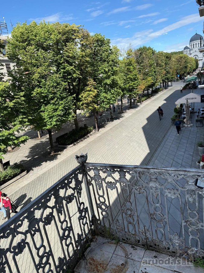 Nuomuojamos 240m2 komercinės patalpos Laisvės - nuotraukos Nr. 9