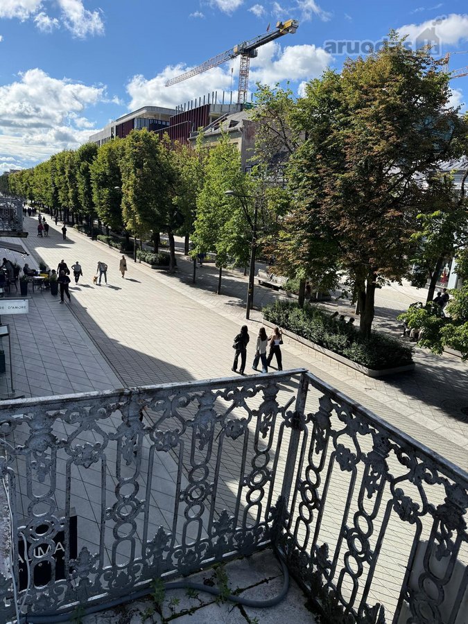 Nuomuojamos 240m2 komercinės patalpos Laisvės - nuotraukos Nr. 10