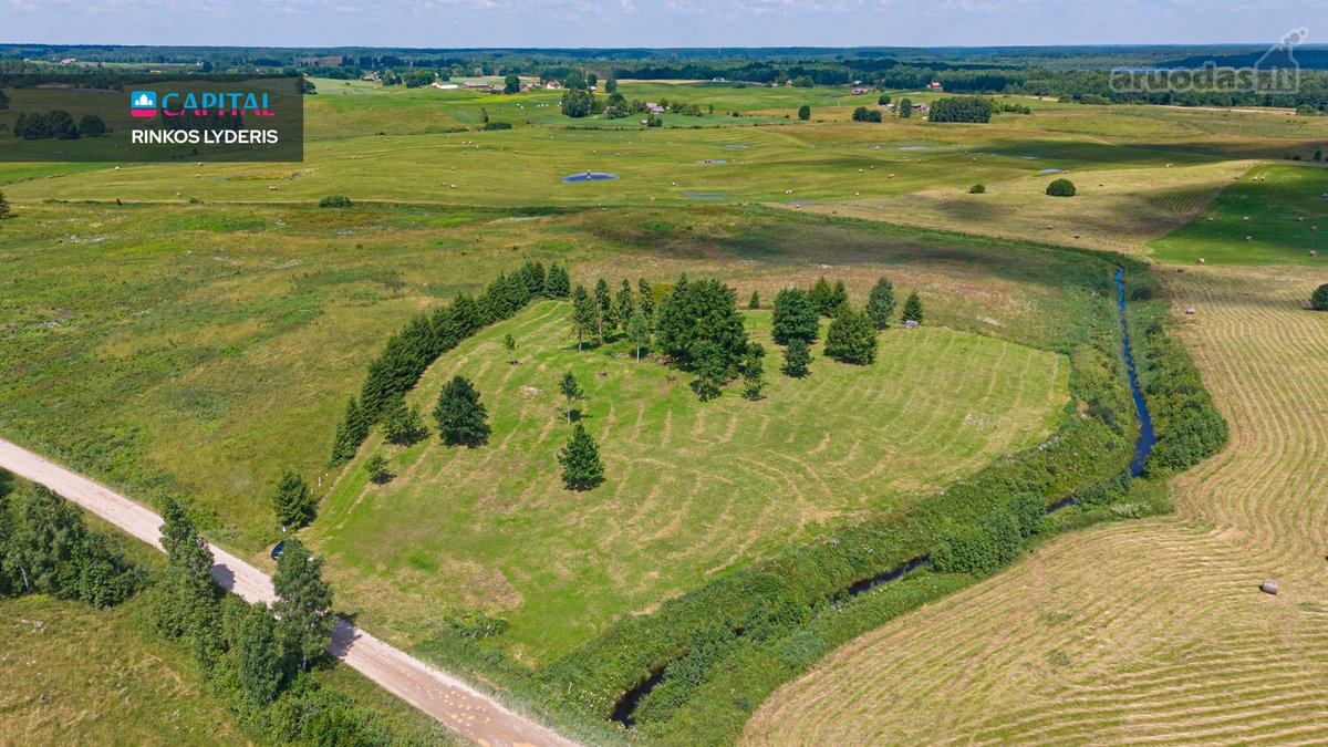 Parduodamas 1,15 Ha Namų Valdos Sklypas Su - nuotraukos Nr. 11