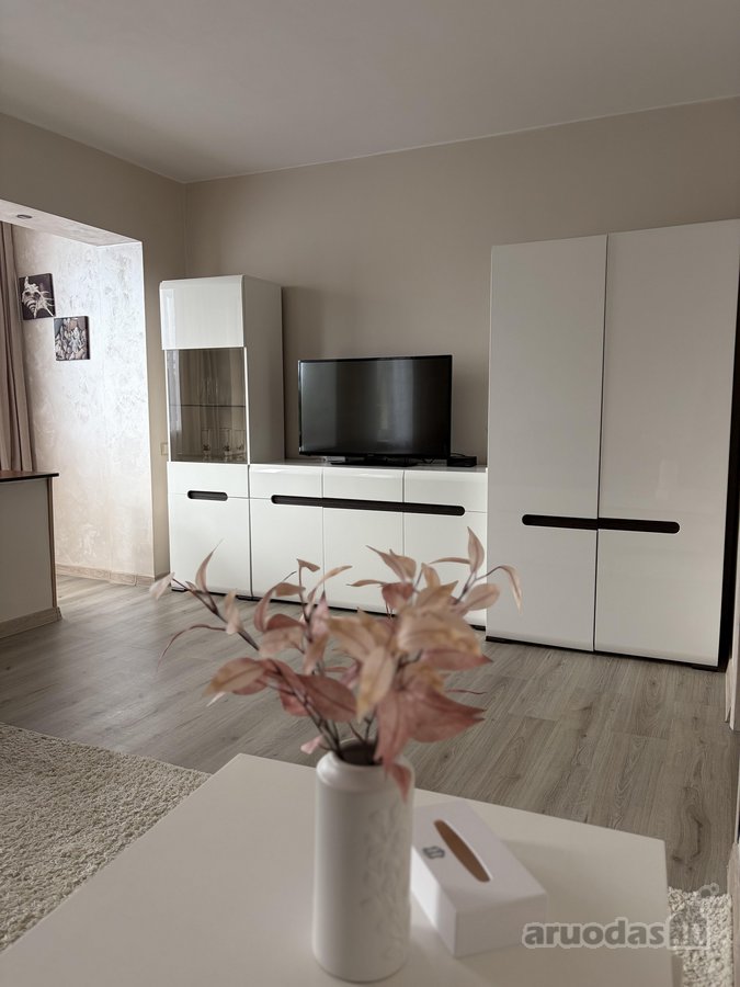 Išnuomojamas Naujai Suremontuotas 2 Kambarių - nuotraukos Nr. 2