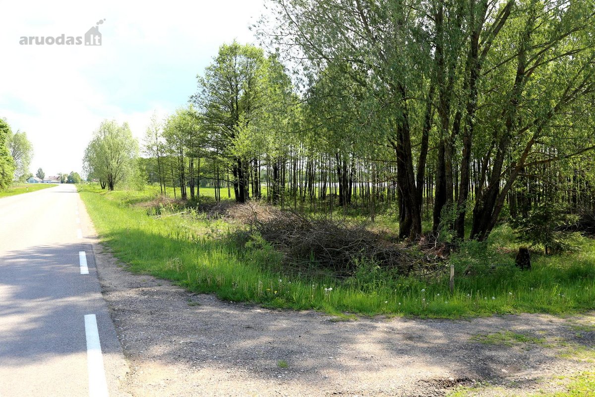Parduodamas išskirtinis 88,3 arų sklypas prie - nuotraukos Nr. 8