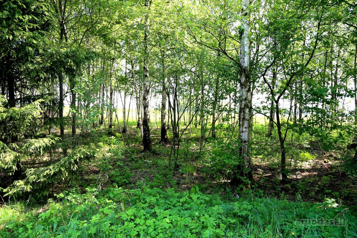 Parduodamas išskirtinis 88,3 arų sklypas prie - nuotraukos Nr. 9