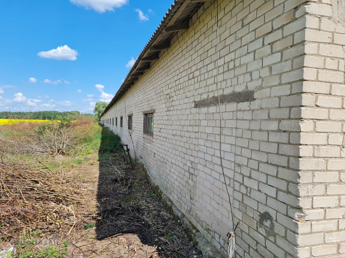 Parduodamos labai geros būklės ir tvarkingos - nuotraukos Nr. 7