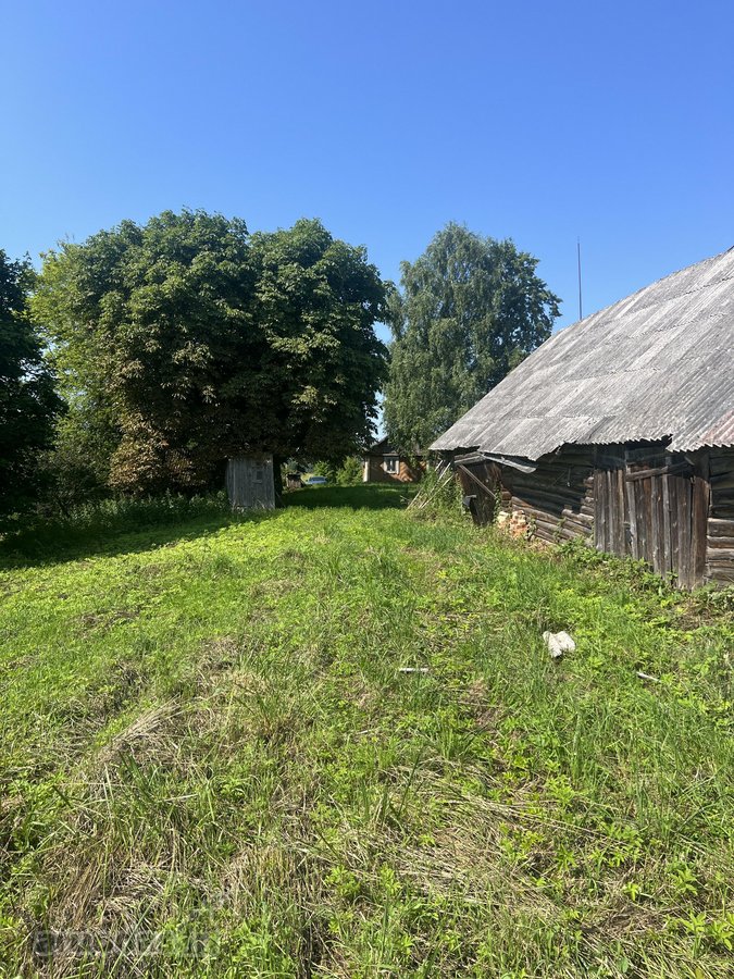 Vaizdingoje vietoje Zarasų r. Tirylių vs. - nuotraukos Nr. 4