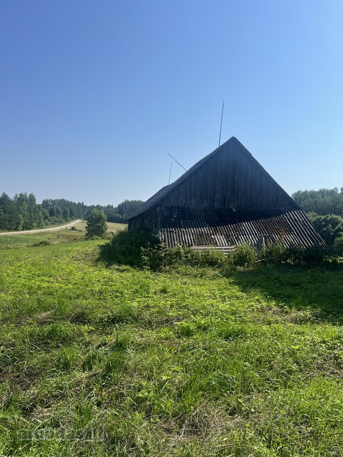 Vaizdingoje vietoje Zarasų r. Tirylių vs. - nuotraukos Nr. 11