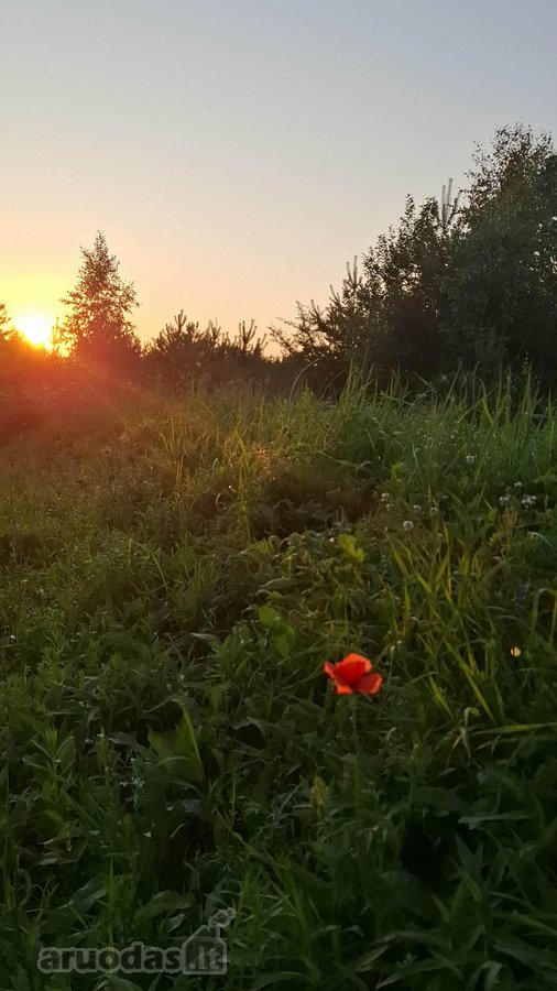 Namų valdos sklypas laukia šeimininko. - nuotraukos Nr. 5
