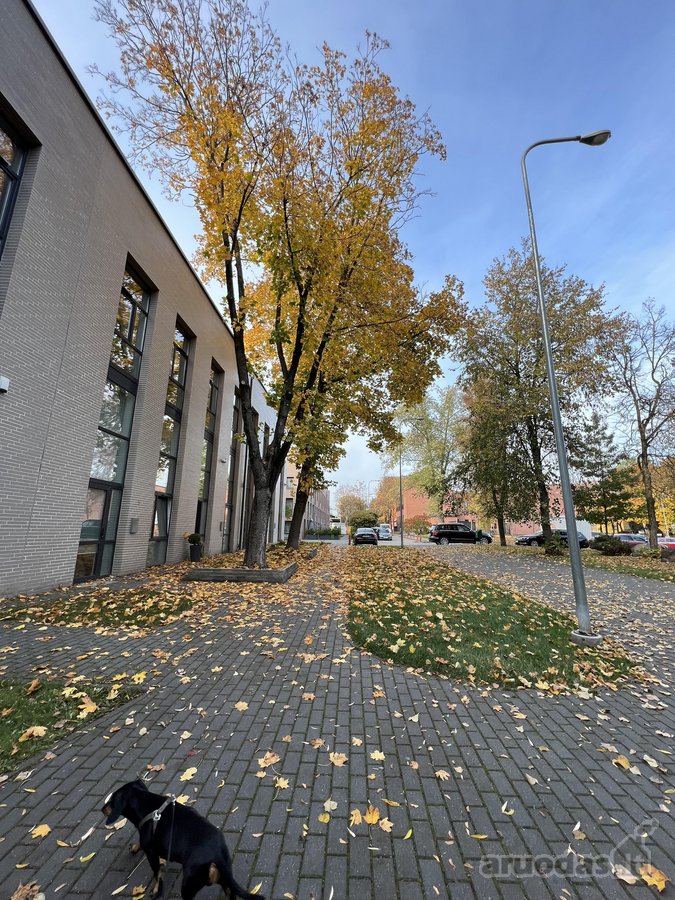 Šviesus, Unikalus 45 Kv. M Loftas „Loft Town“ - nuotraukos Nr. 34