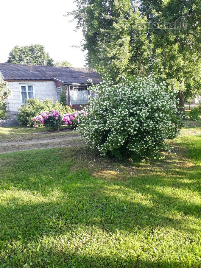 Parduodama neapleista 40 arų sodyba su daug - nuotraukos Nr. 2