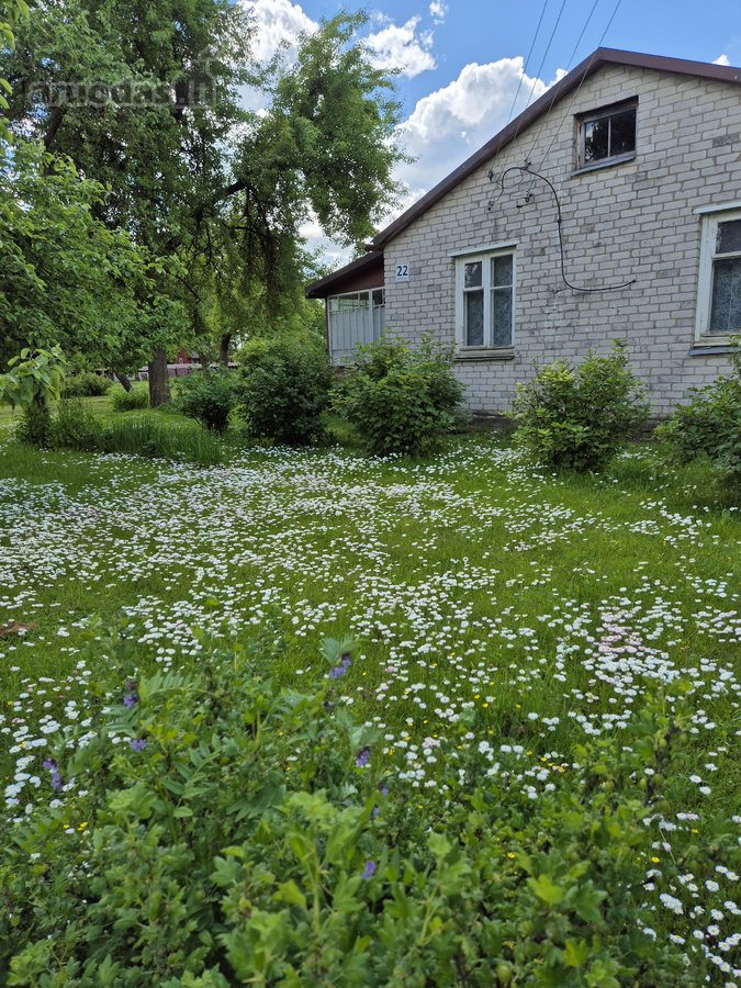 Parduodama neapleista 40 arų sodyba su daug - nuotraukos Nr. 3