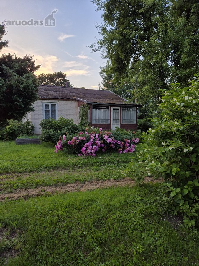 Parduodama neapleista 40 arų sodyba su daug - nuotraukos Nr. 7