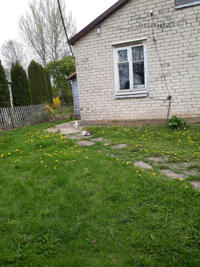 Parduodama neapleista 40 arų sodyba su daug - nuotraukos Nr. 8