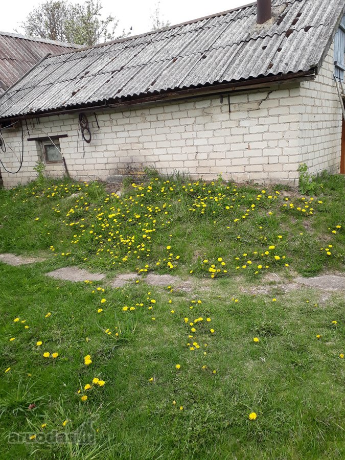 Parduodama neapleista 40 arų sodyba su daug - nuotraukos Nr. 12