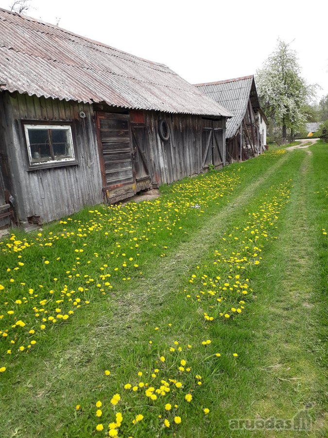 Parduodama neapleista 40 arų sodyba su daug - nuotraukos Nr. 19