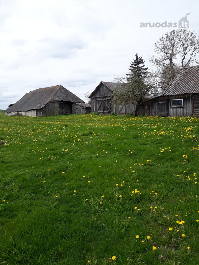 Parduodama neapleista 40 arų sodyba su daug - nuotraukos Nr. 20