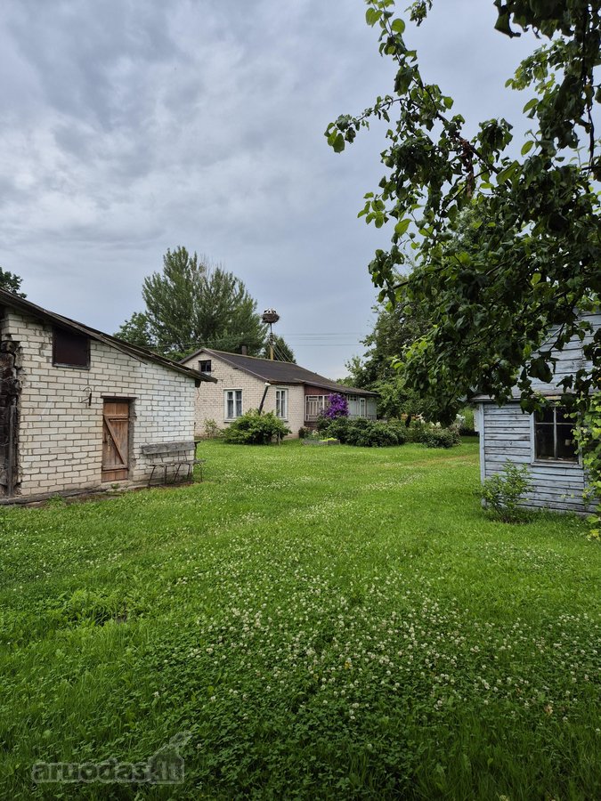 Parduodama neapleista 40 arų sodyba su daug - nuotraukos Nr. 13