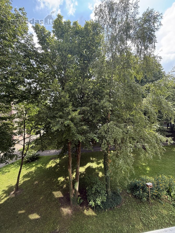 Renovuotas Butas Centre – Maži Mokesčiai – - nuotraukos Nr. 15