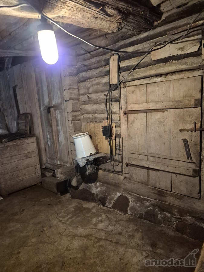 Parduodama neapleista 40 arų sodyba su daug - nuotraukos Nr. 41