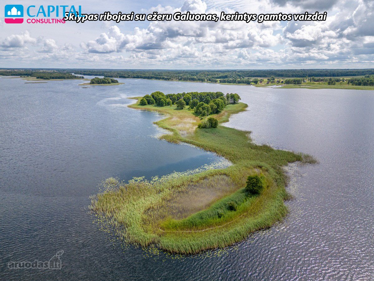 Parduodamas 39,91 A Ploto Namų Valdos Žemės - nuotraukos Nr. 13