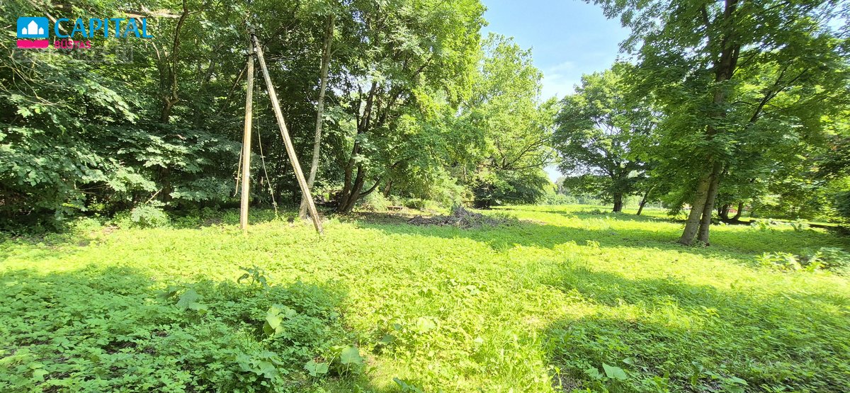 Parduodamas Išskirtinis 64,94 a Namų Valdos - nuotraukos Nr. 7