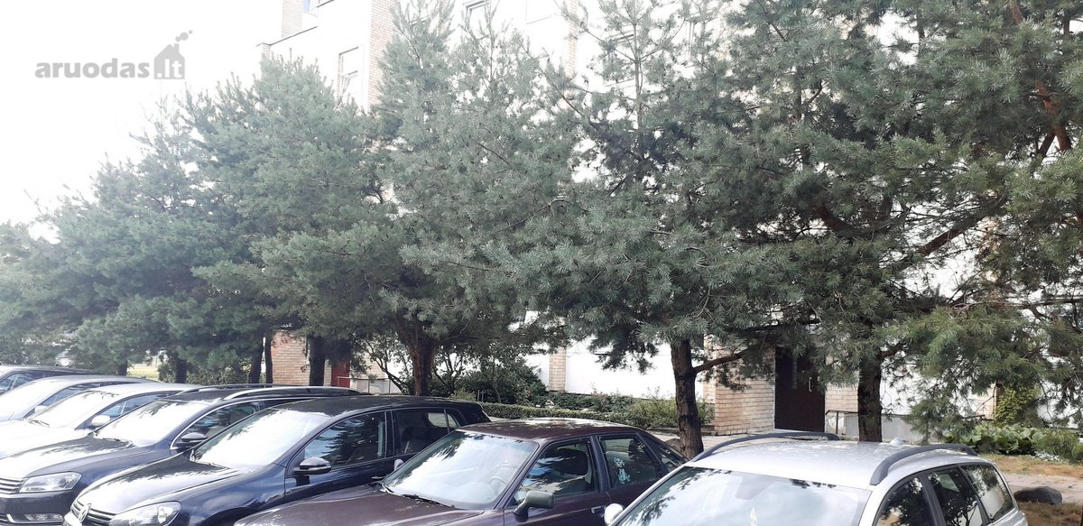	butas nuomojamas su baldais, buitine - nuotraukos Nr. 6