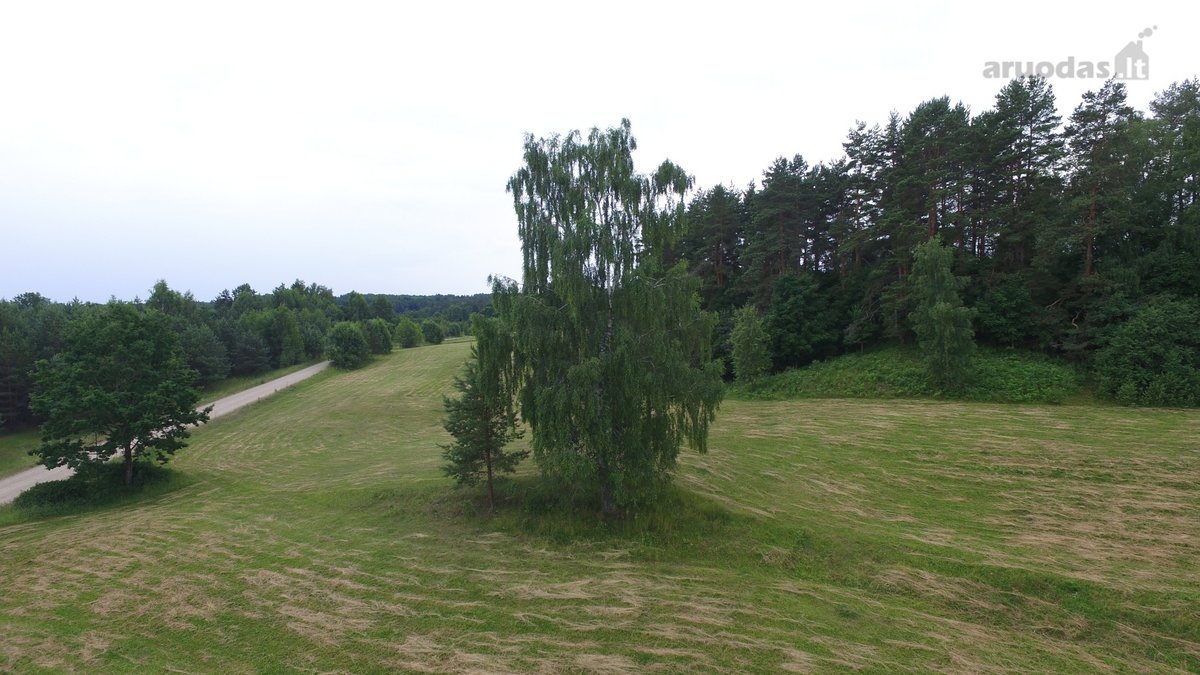 Parduodama Autentiška Sodyba Ežerų Ir Miškų - nuotraukos Nr. 23