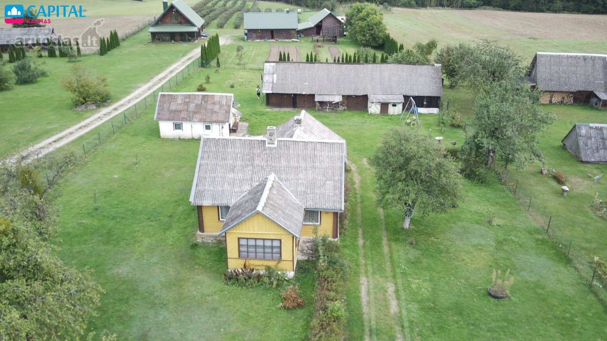 Parduodama jauki sodyba Nedzigės kaime,