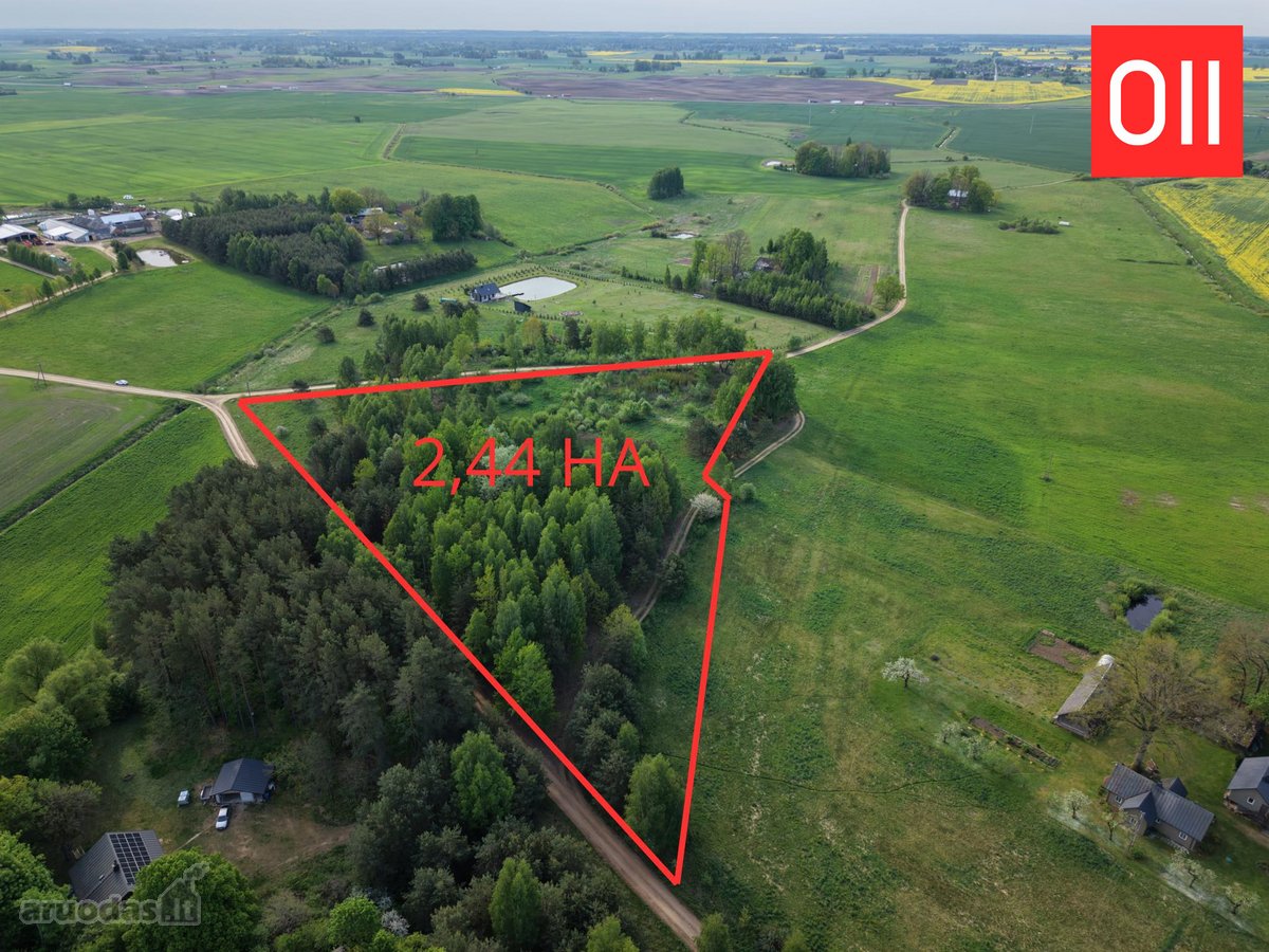 Parduodamas 2,45 ha žemės ūkio paskirties - nuotraukos Nr. 2