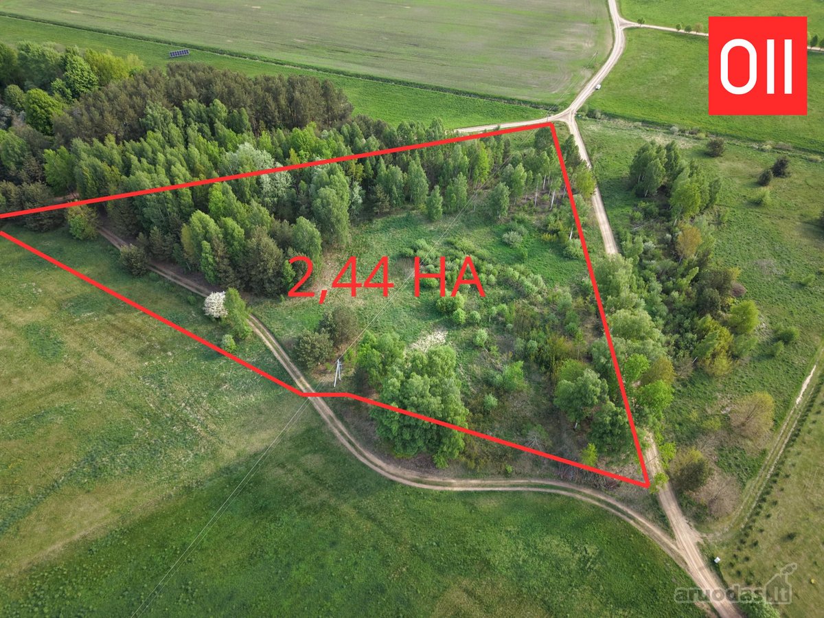 Parduodamas 2,45 ha žemės ūkio paskirties - nuotraukos Nr. 3