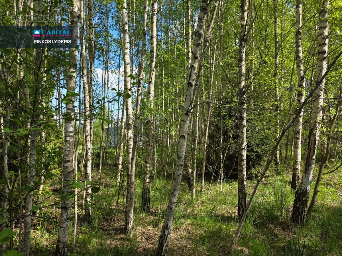 Parduodamas Erdvus Ir Vaizdingas Sklypas - nuotraukos Nr. 5