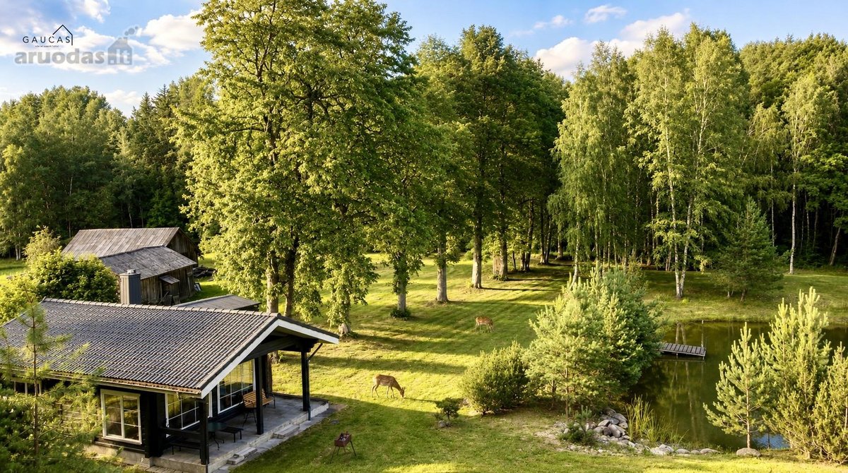 Išskirtinis vasarnamis su daugiau nei 1 ha - nuotraukos Nr. 3