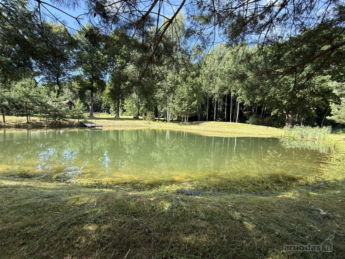 Išskirtinis vasarnamis su daugiau nei 1 ha - nuotraukos Nr. 20