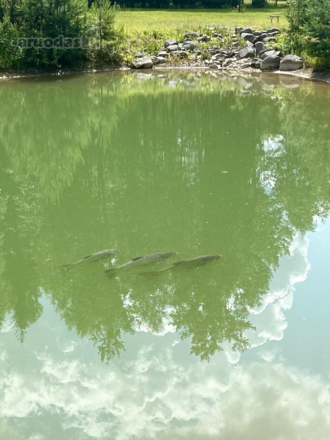 Išskirtinis vasarnamis su daugiau nei 1 ha - nuotraukos Nr. 21