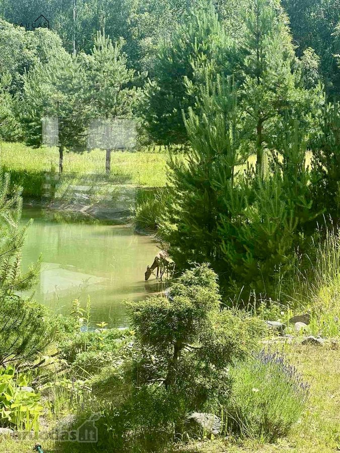 Išskirtinis vasarnamis su daugiau nei 1 ha - nuotraukos Nr. 28